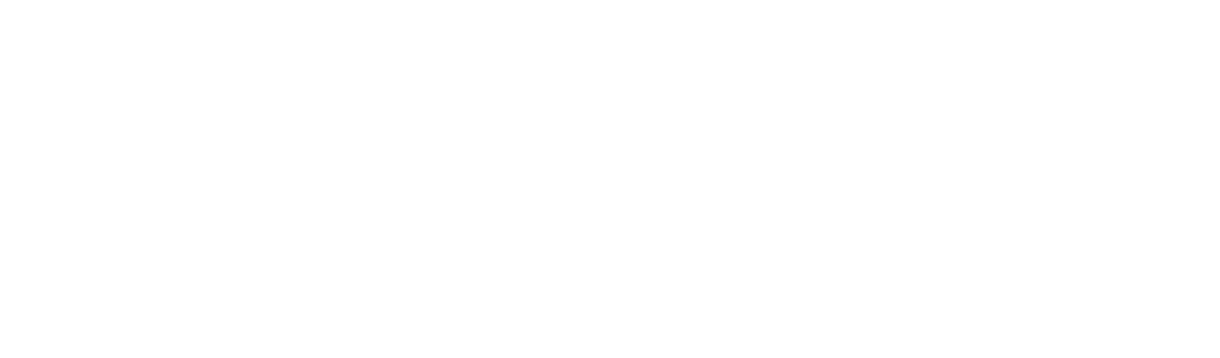 BXR logo no R w